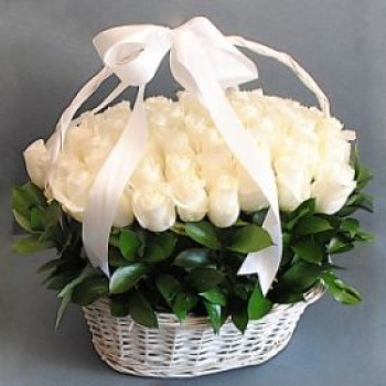 PRF BQT 44